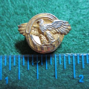 Army Discharge pin Ruptured Duck c. 1940's WWII.