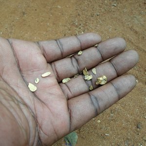 Gold nuggets detected with Black Hawk.