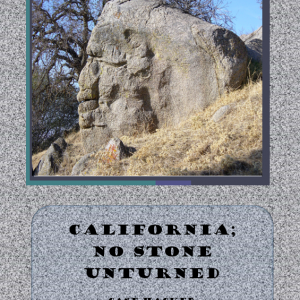 California; No Stoned Unturned Book Cover