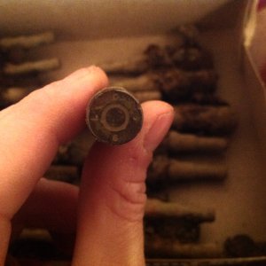 .308 blanks dug up at a park in Indiana