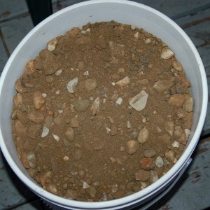 One five gallon bucket of unwashed coarse sand and rock purchased from Hansen Bros in Grass Valley