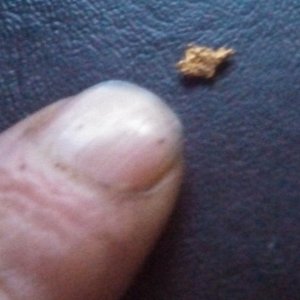 1st Piece of Gold with my Gold Bug 2, Found at the Classic Hill Mine in Siskiyou CA (Kinda Small) lol