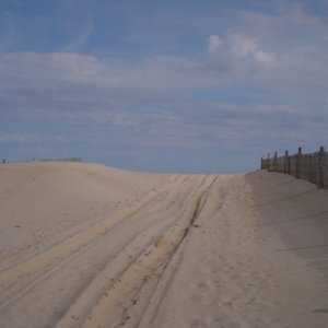 dune to beach