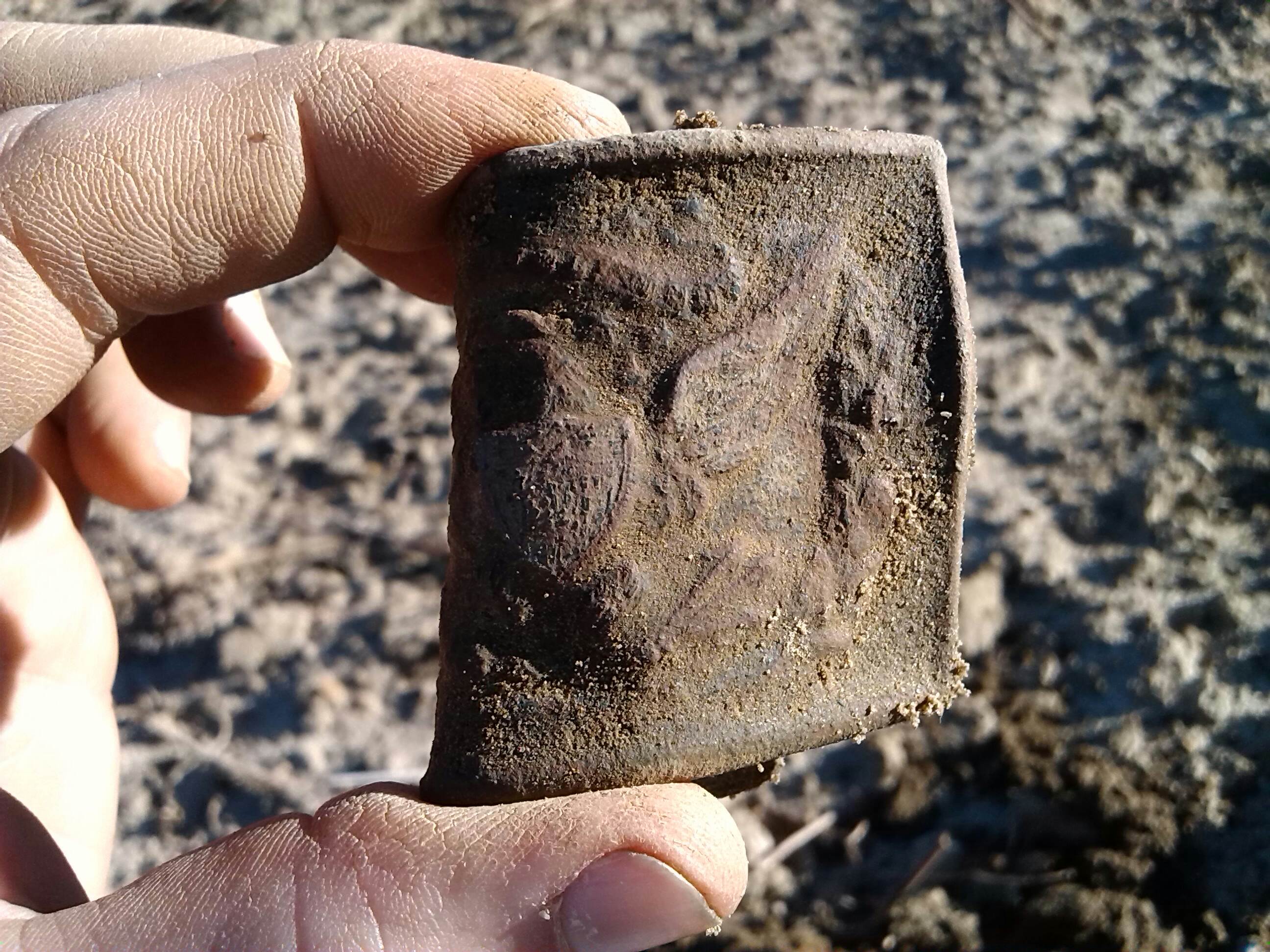 Dug in Worth County Georgia farm field on Feb 8, 2015 ----Early version of 1851 Union Eagle Belt Sword Officers Plate #630