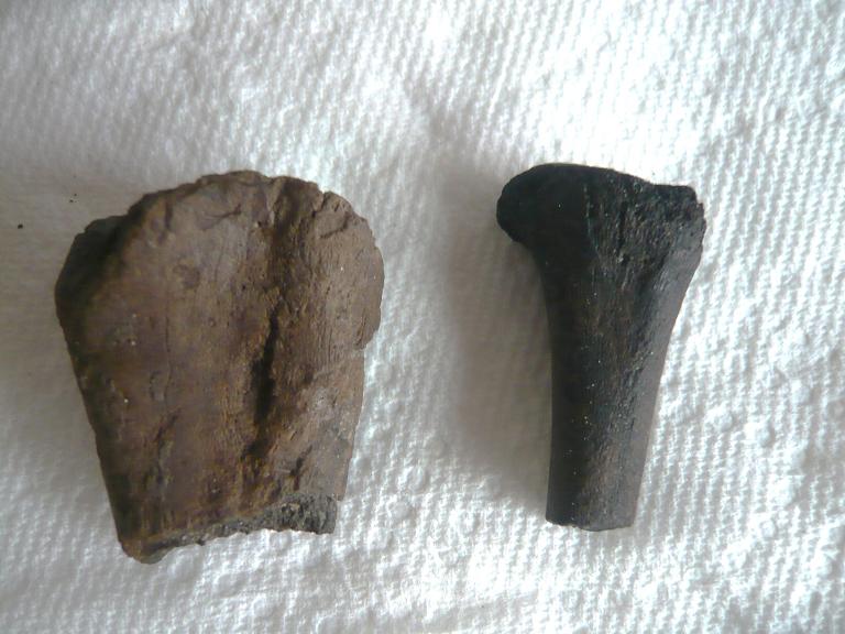 Fossil Pieces of bone