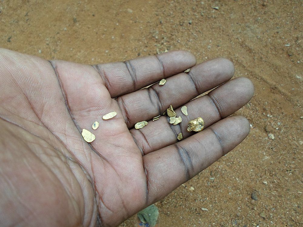 Gold nuggets detected with Black Hawk.