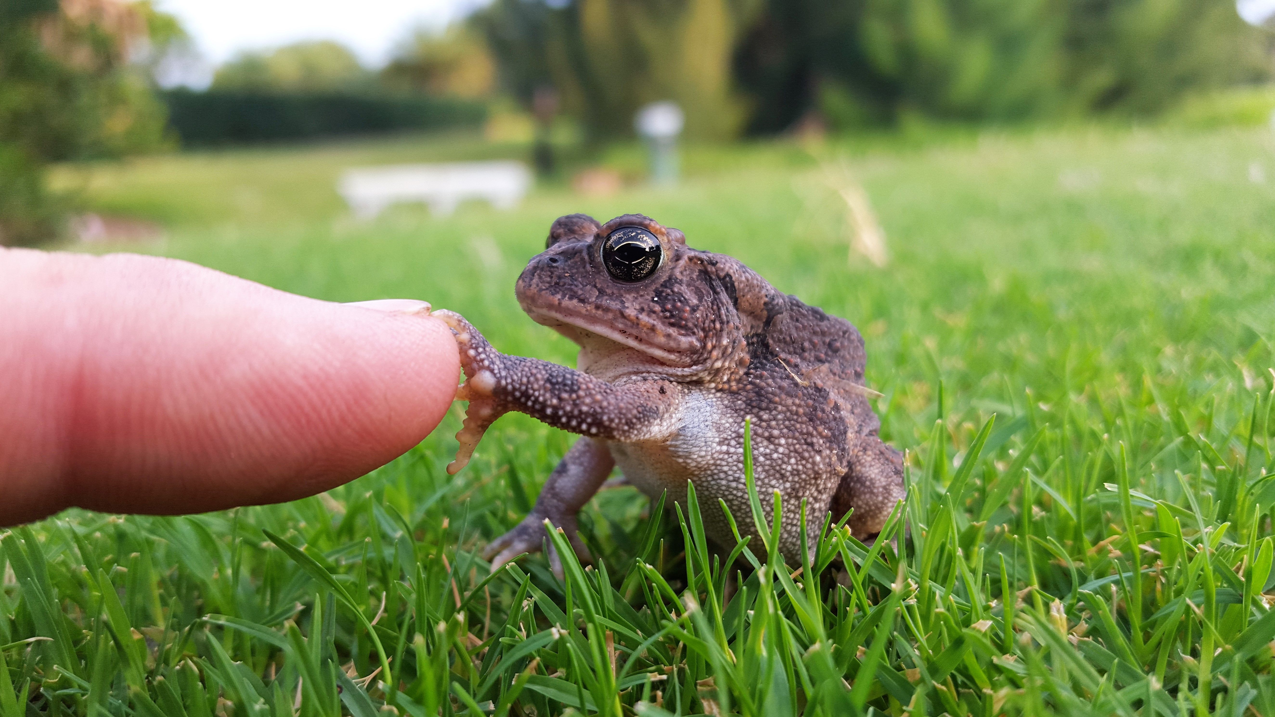 My Handshake with Nature.