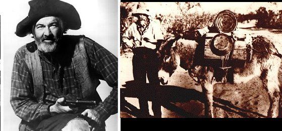 Prospector - Gabby Hayes, and an old prospector