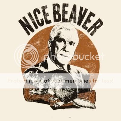 nice-beaver-2.jpg