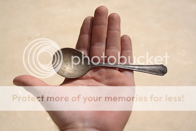 spoon1-1.jpg