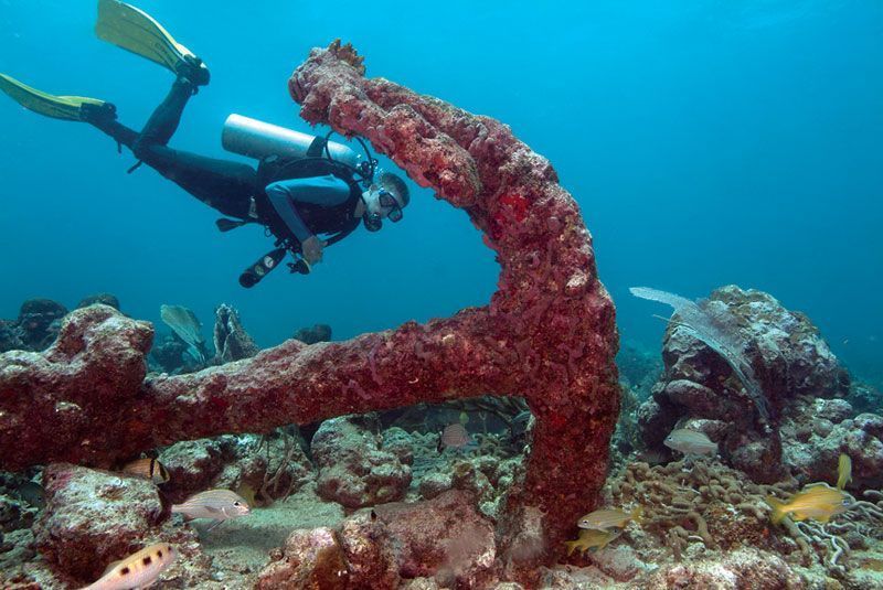 Scuba-Diving-at-Flying-Reef.jpg