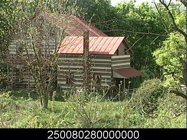 000ggg.webp