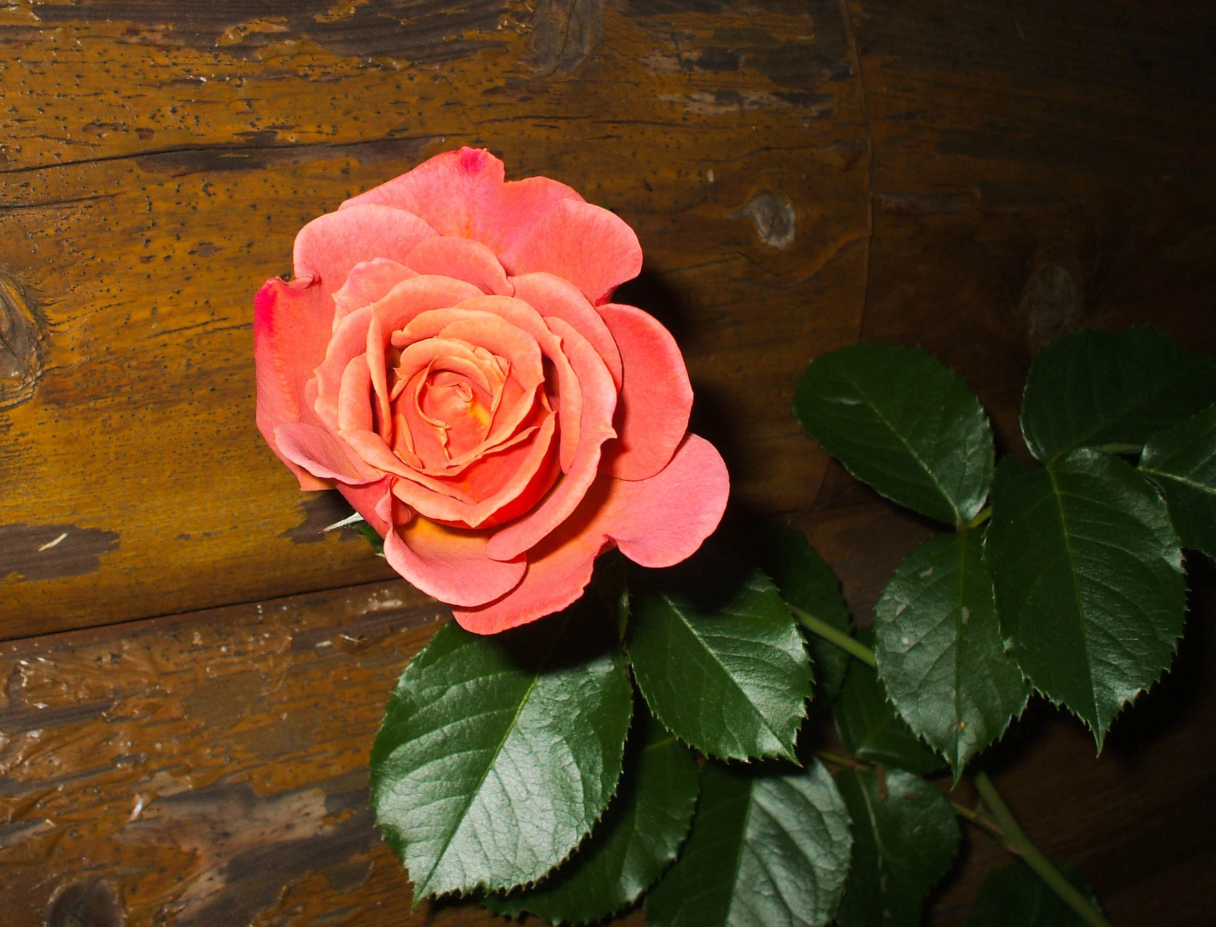 060626 (2).webp