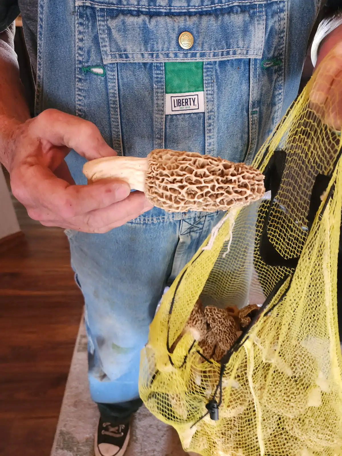 1000008803.webp