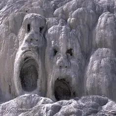 1666114969483.png