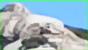 1757866439935.webp