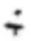1777721367798.webp