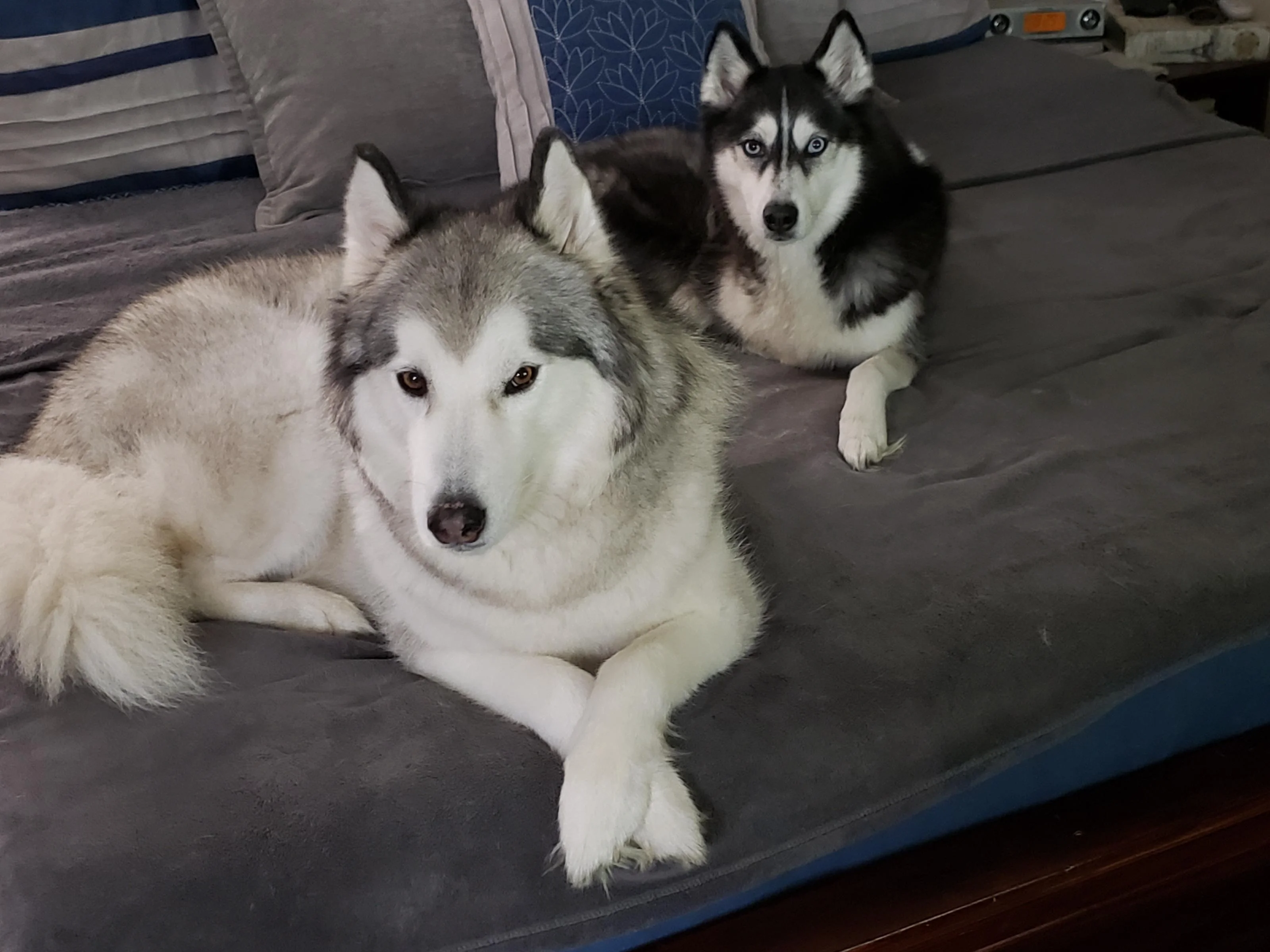 20190902_203005-1(1).webp