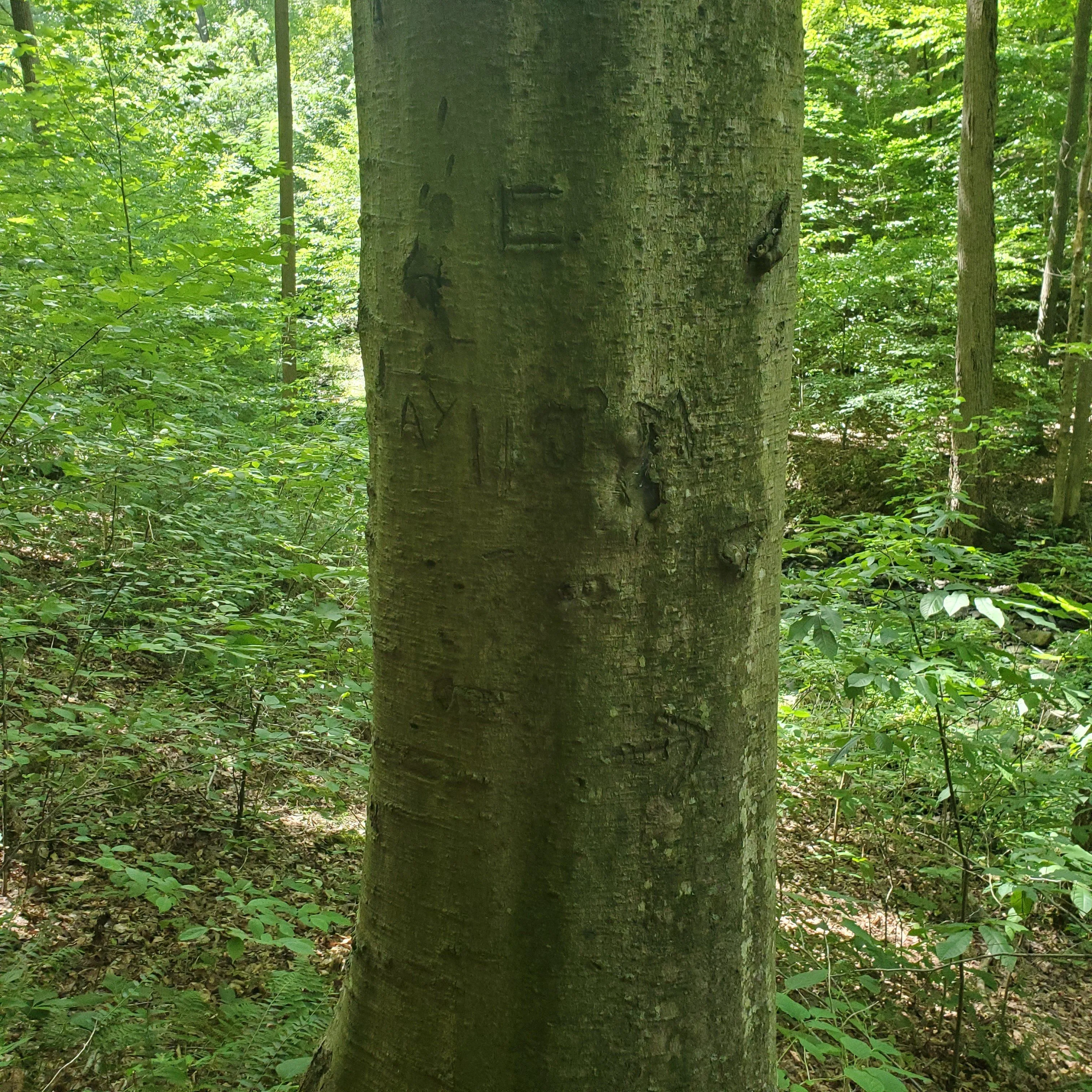 20220822_135915.webp