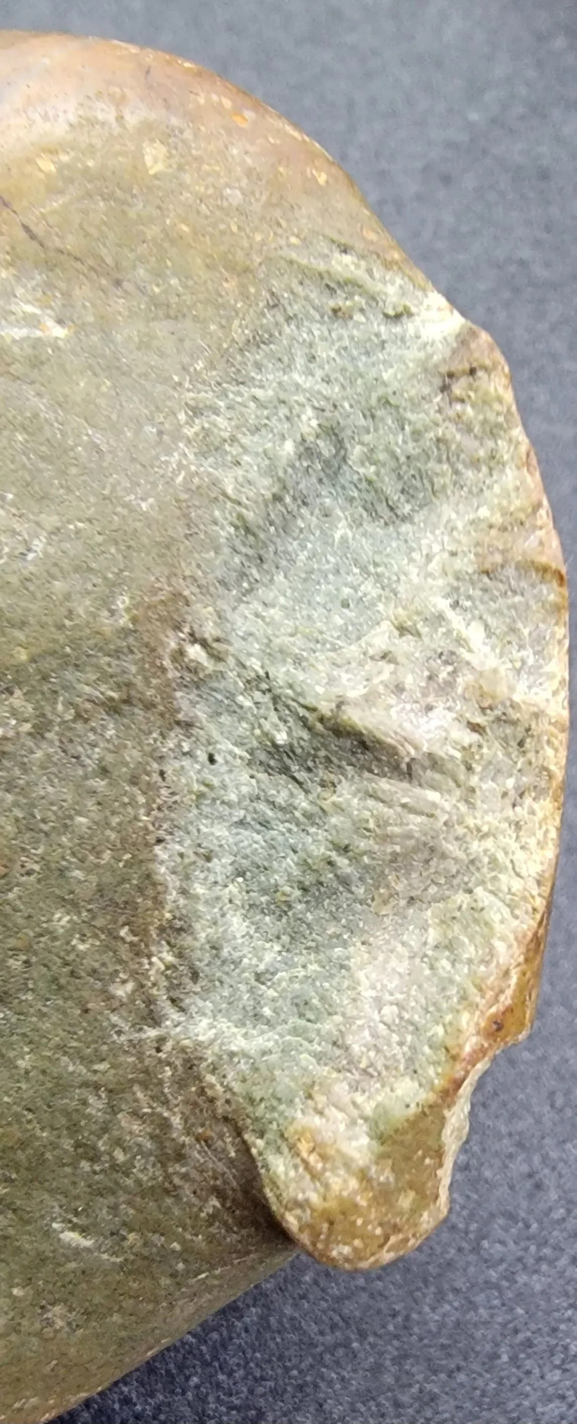 20230315_072112.jpg