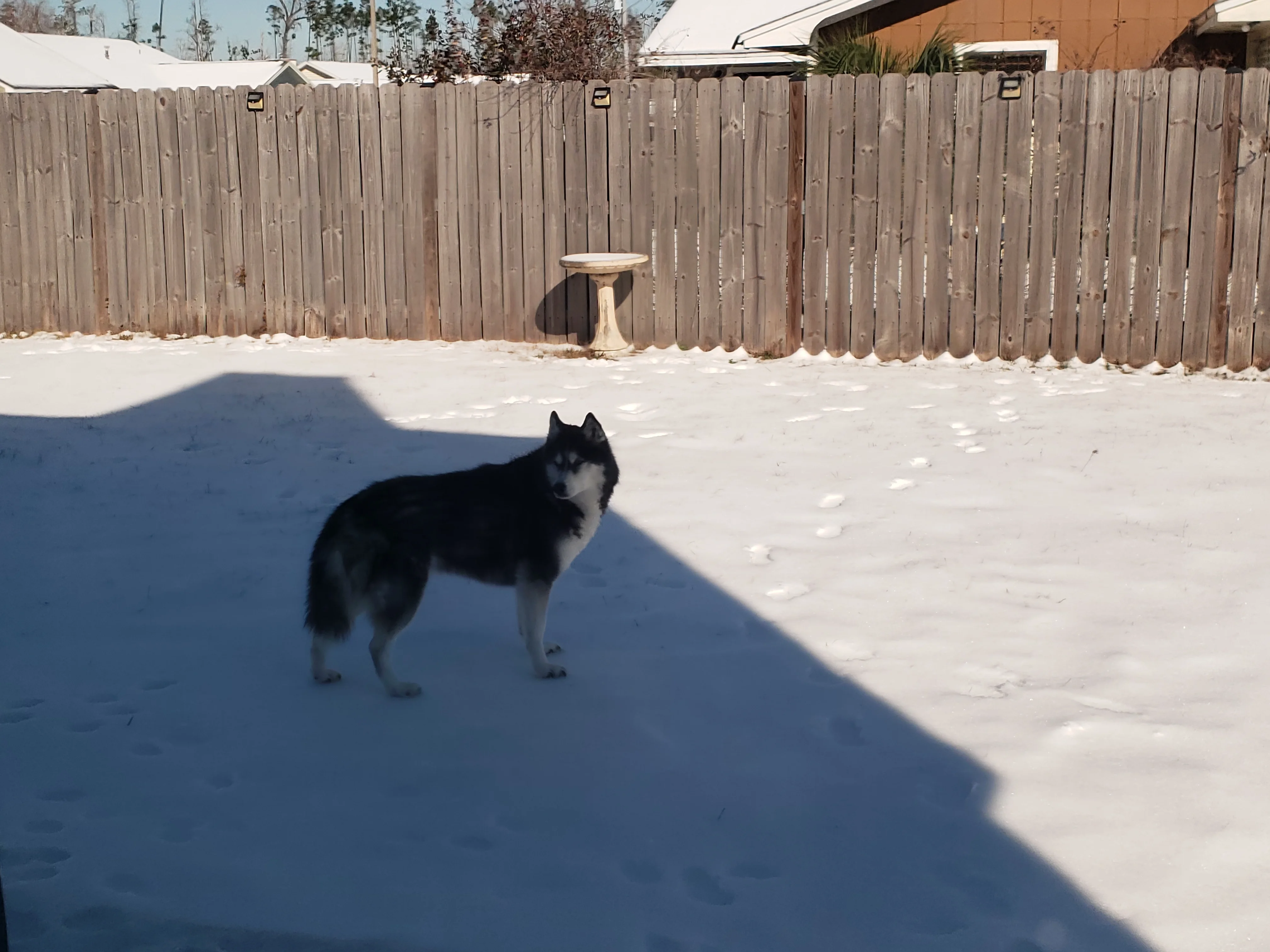 20250122_095811.webp