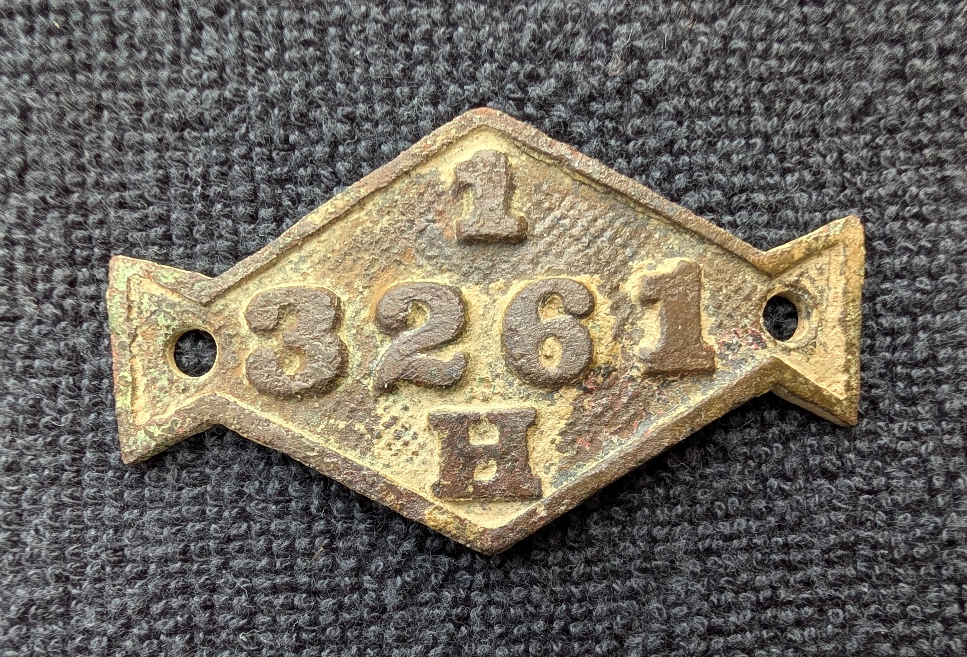 3261 Buggy License.webp