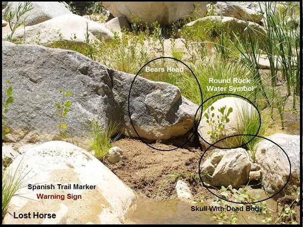 Bear Water 001.webp