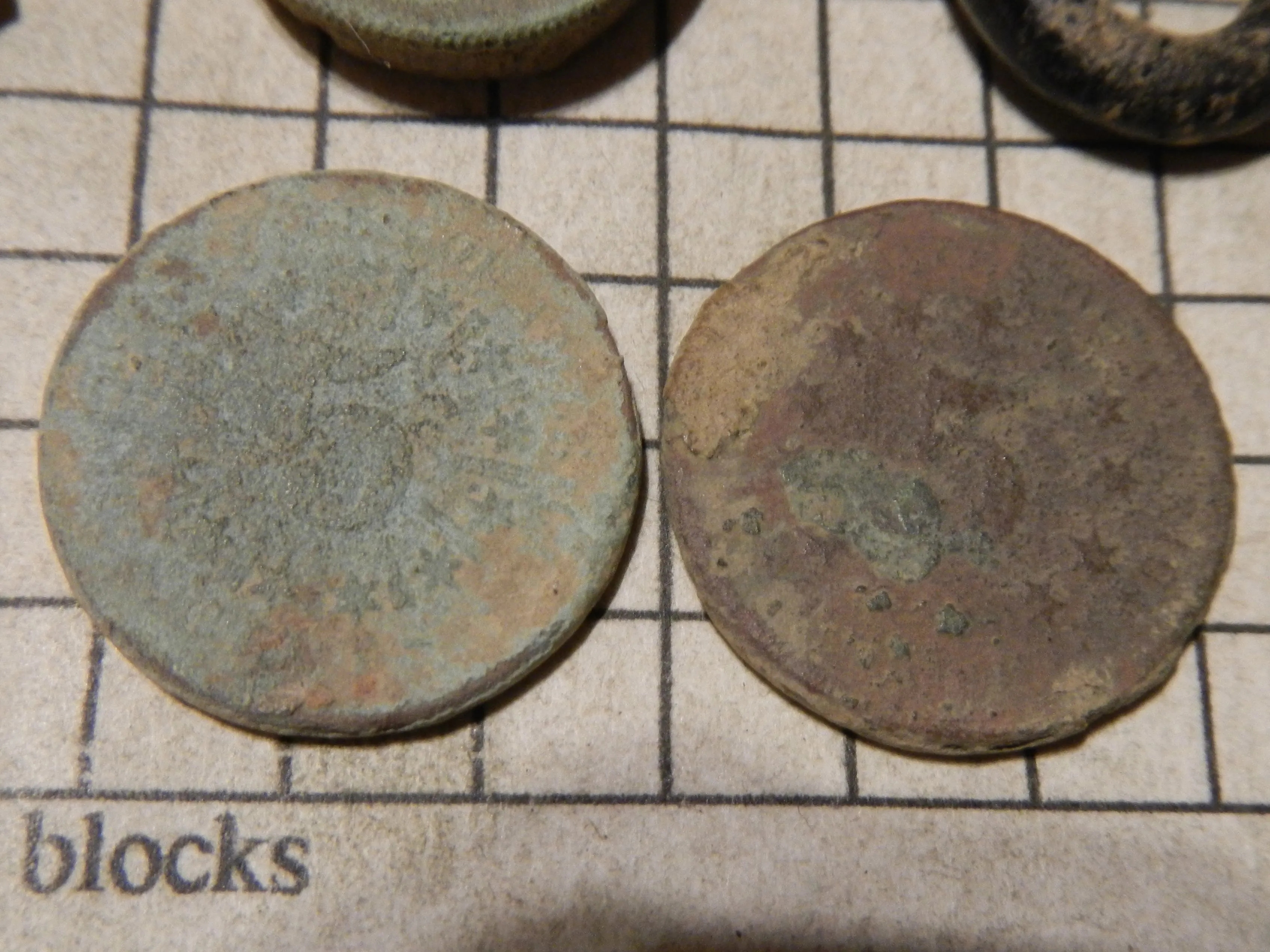 DSCN3554.webp