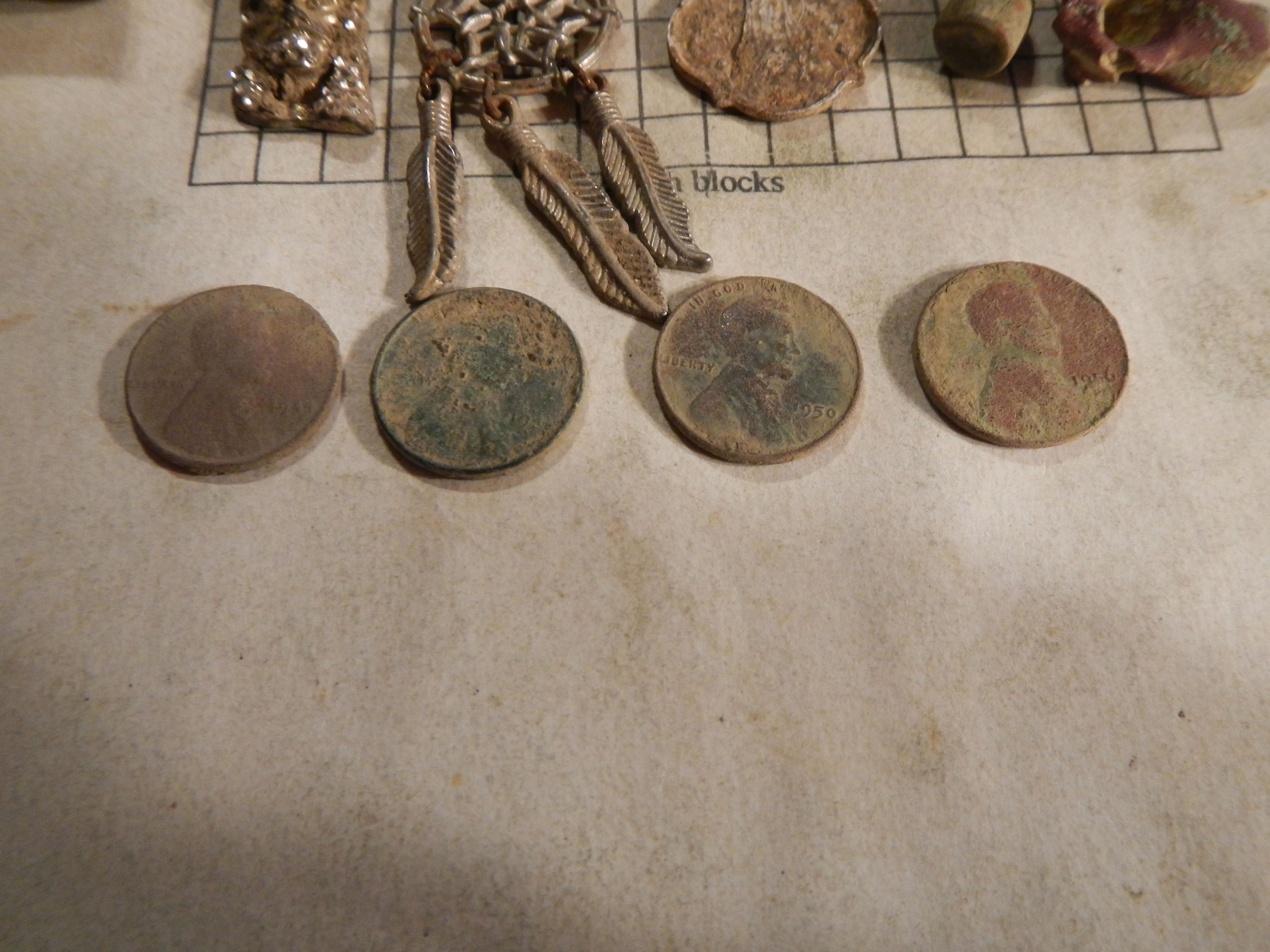 DSCN3723.webp