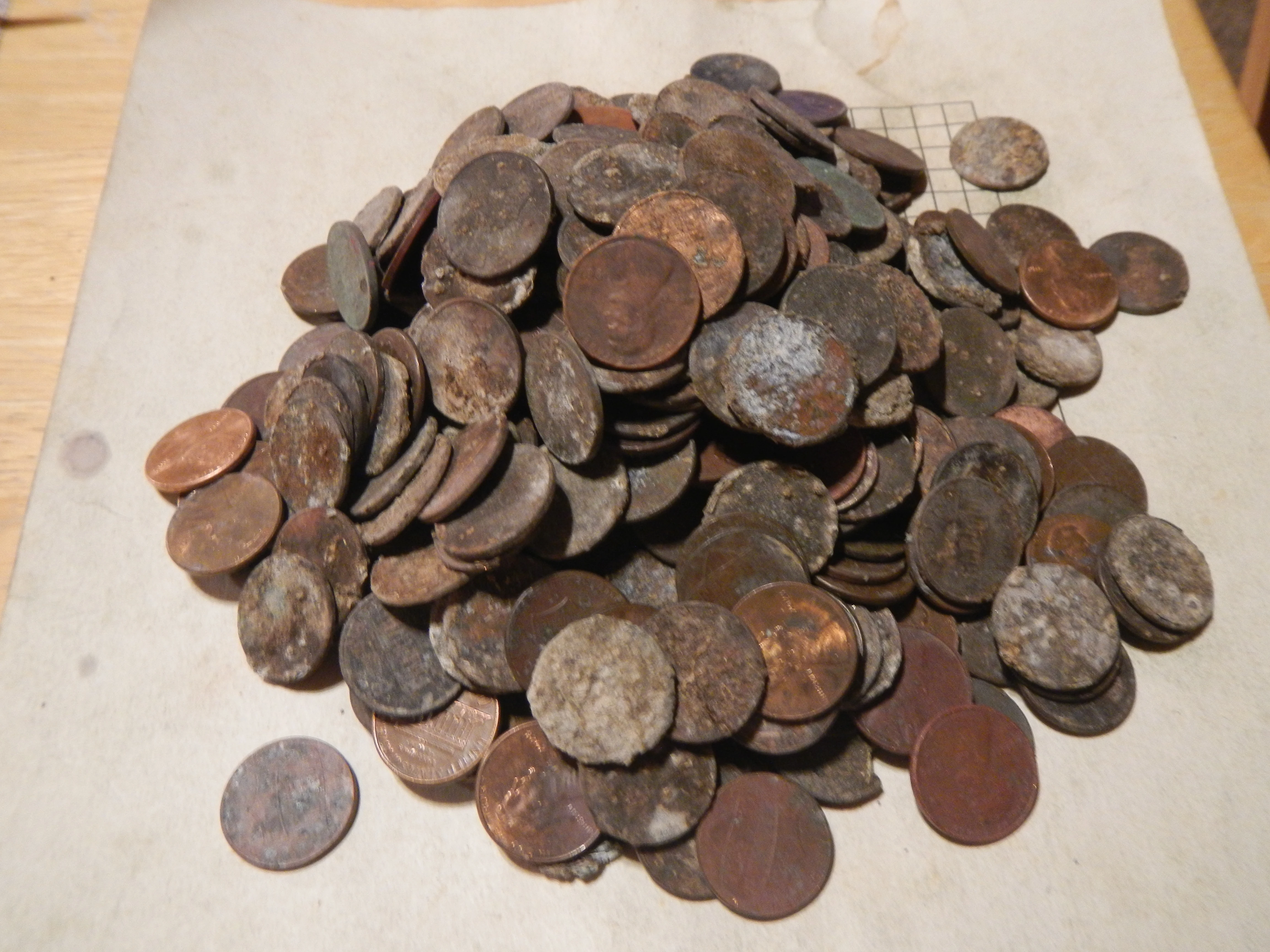 DSCN3816.webp