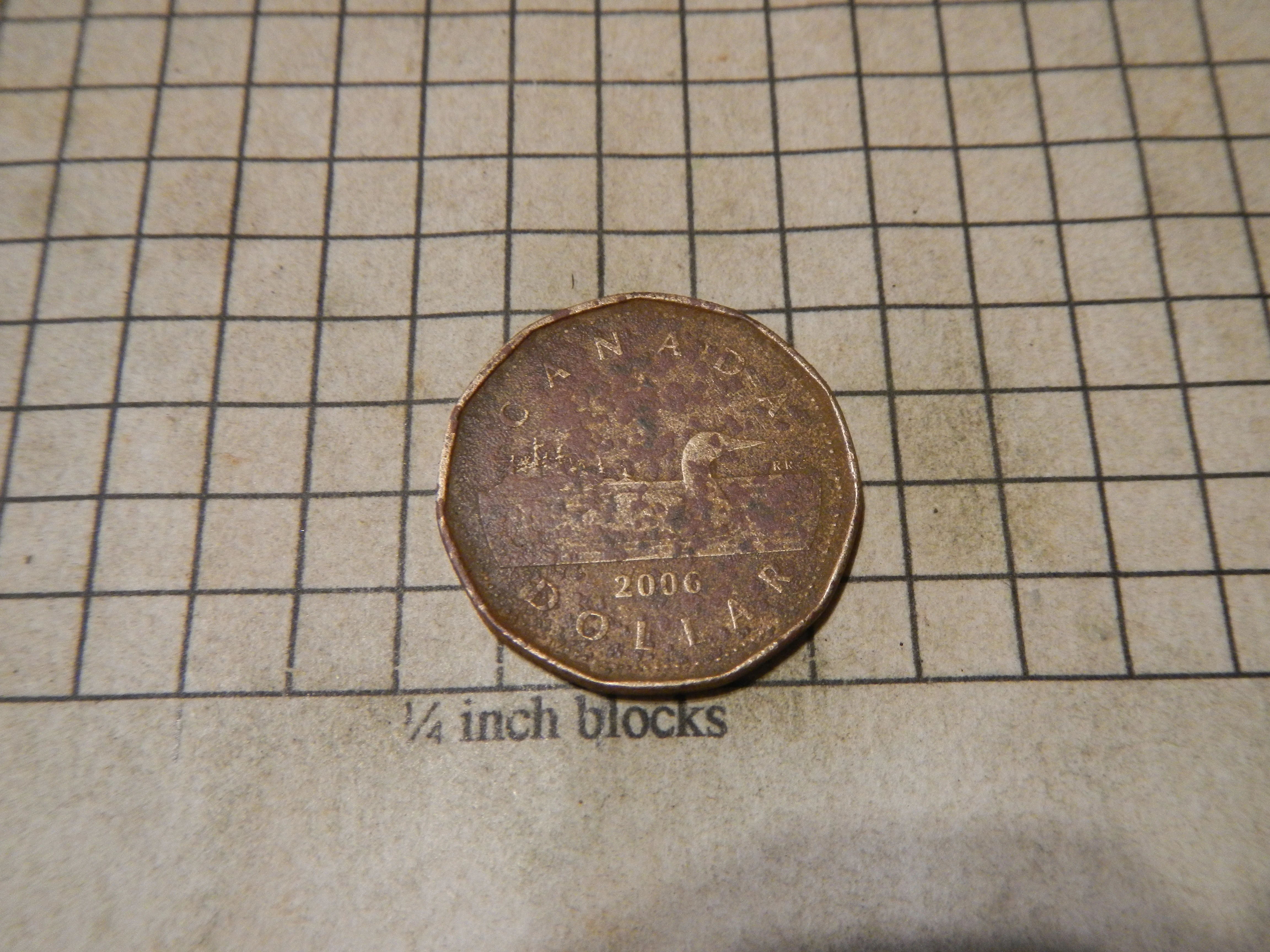 DSCN3819.webp