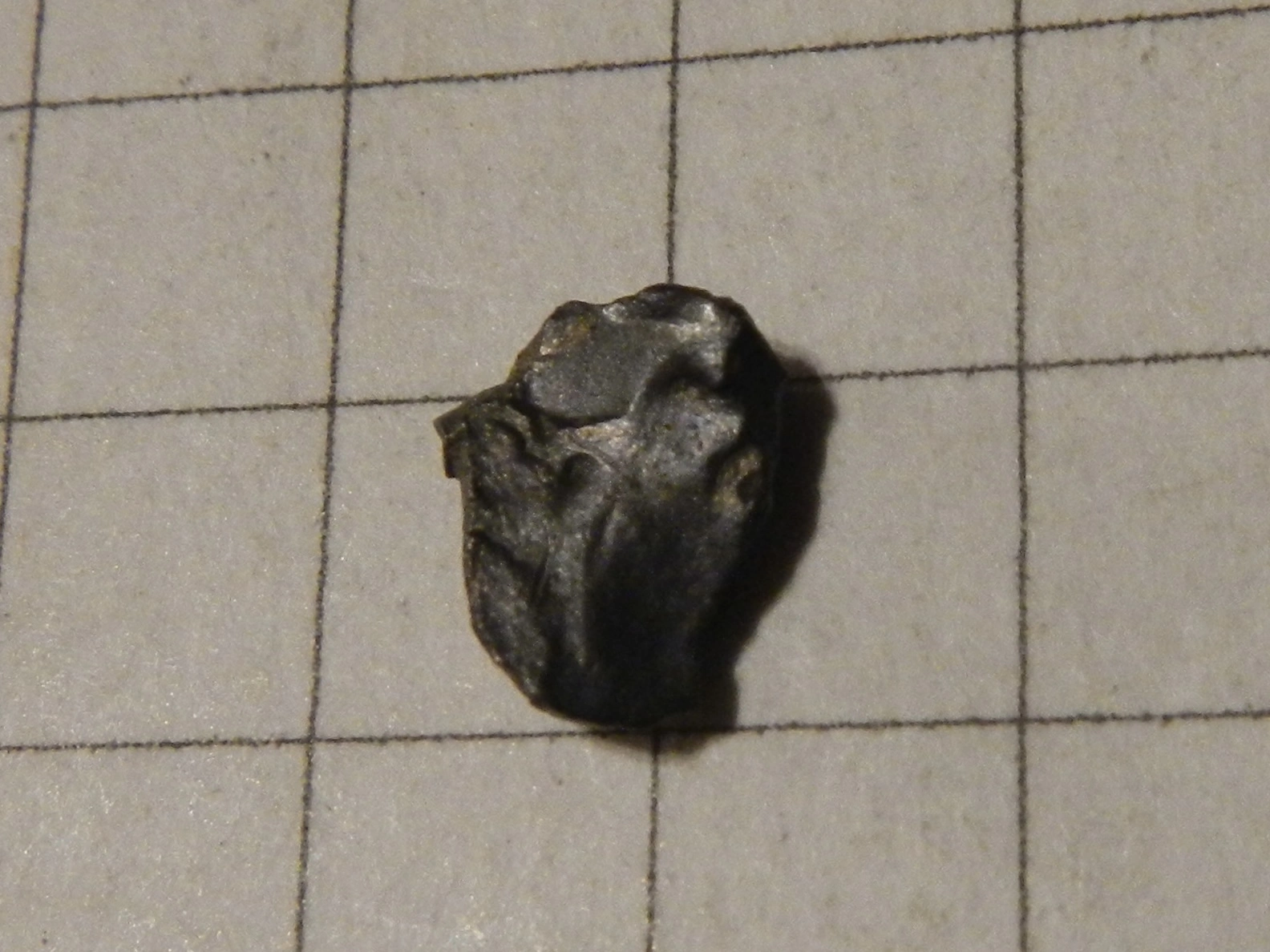 DSCN4054.webp