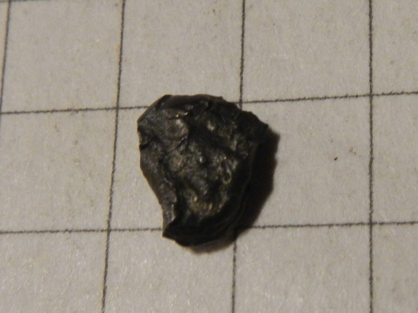 DSCN4055.webp