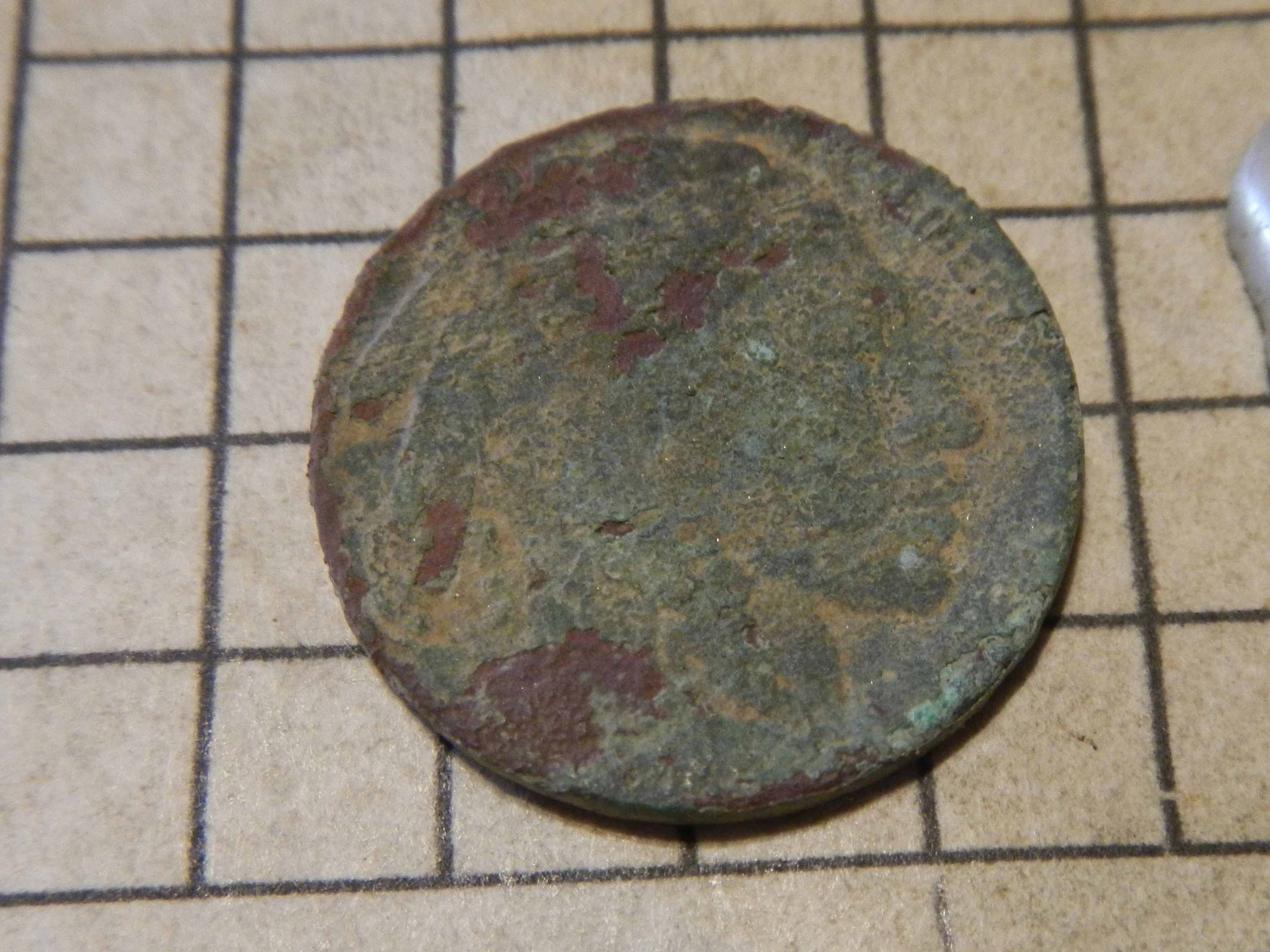 DSCN4211.webp
