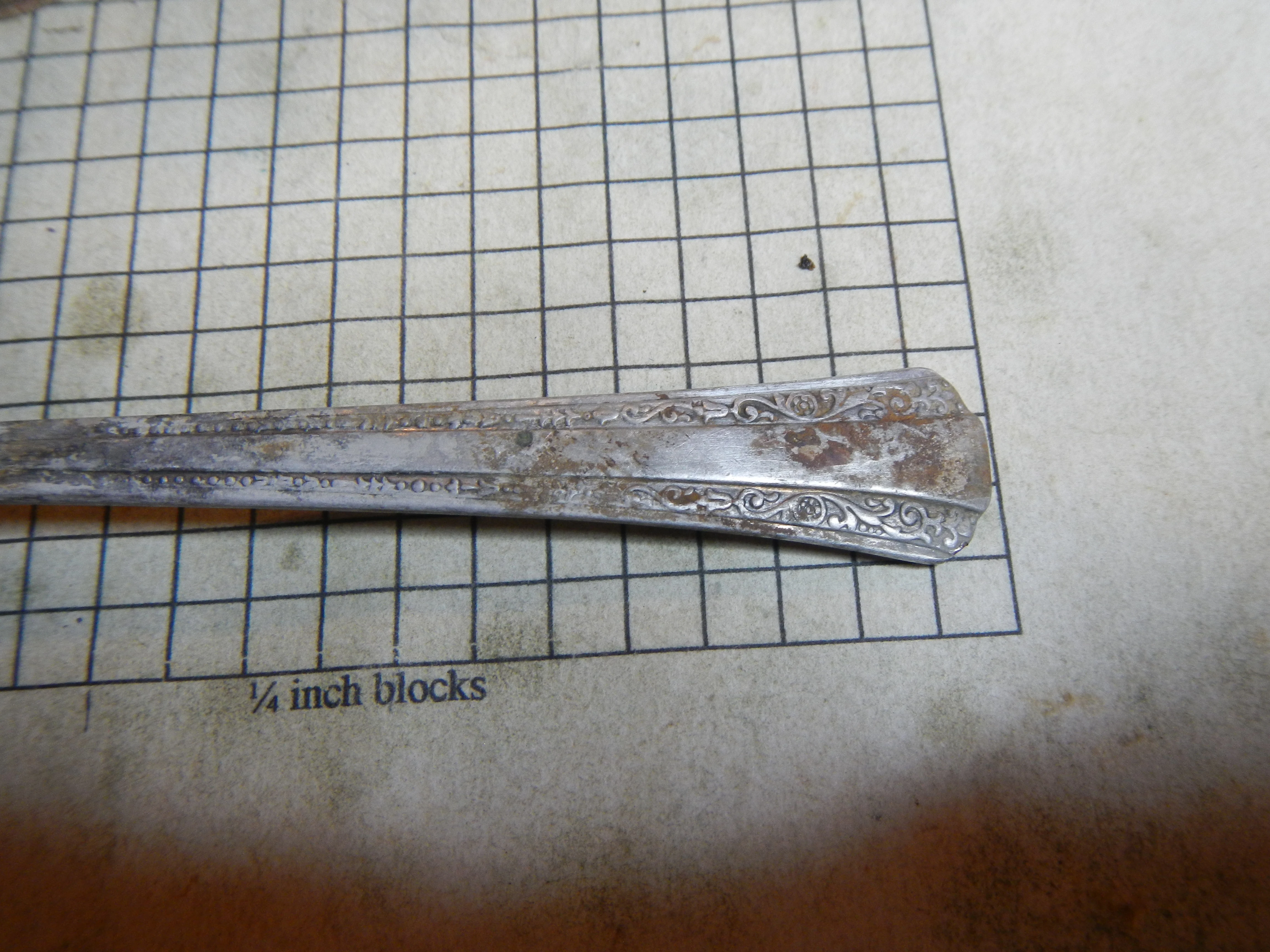 DSCN4498.webp
