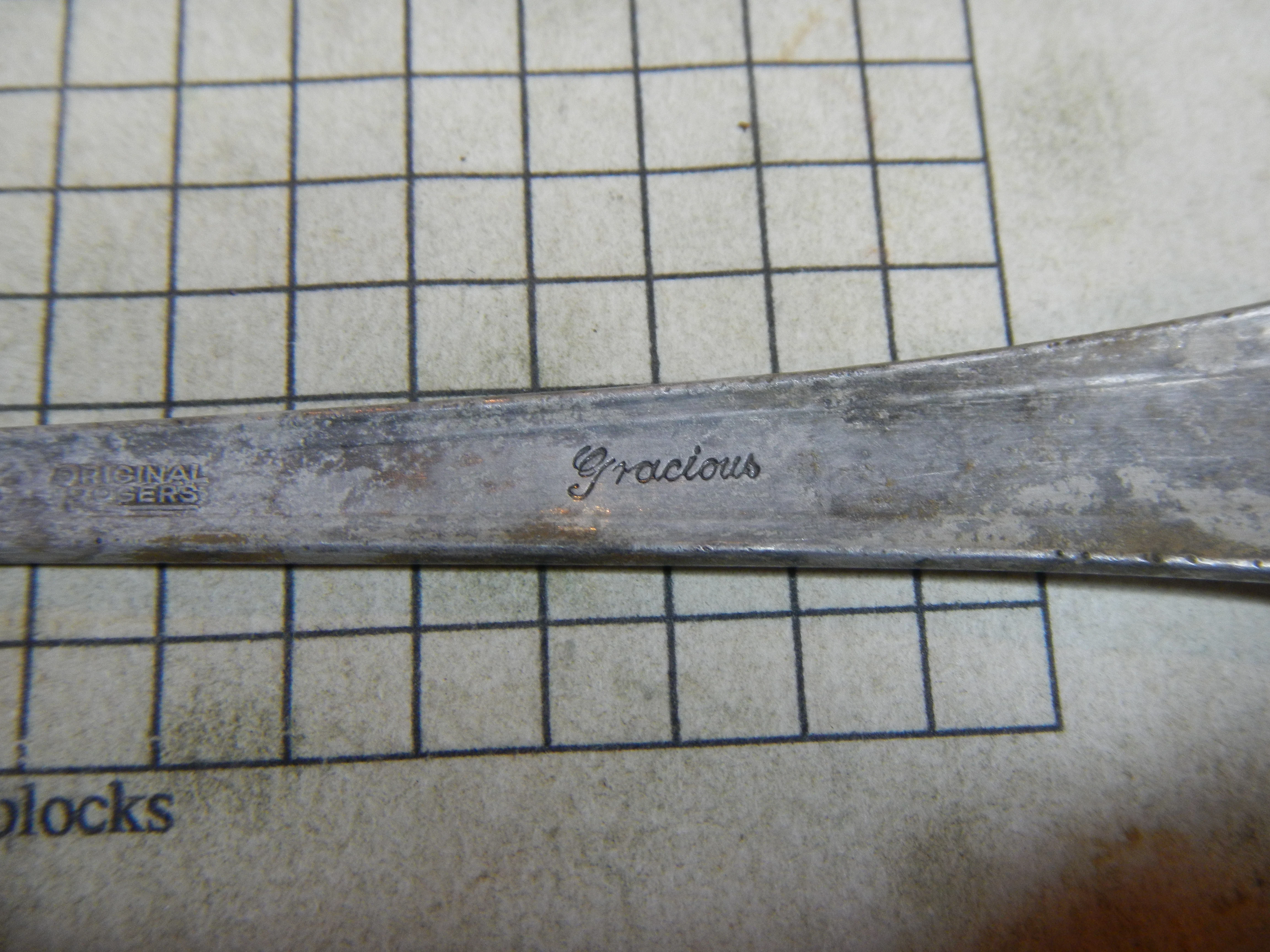 DSCN4500.webp