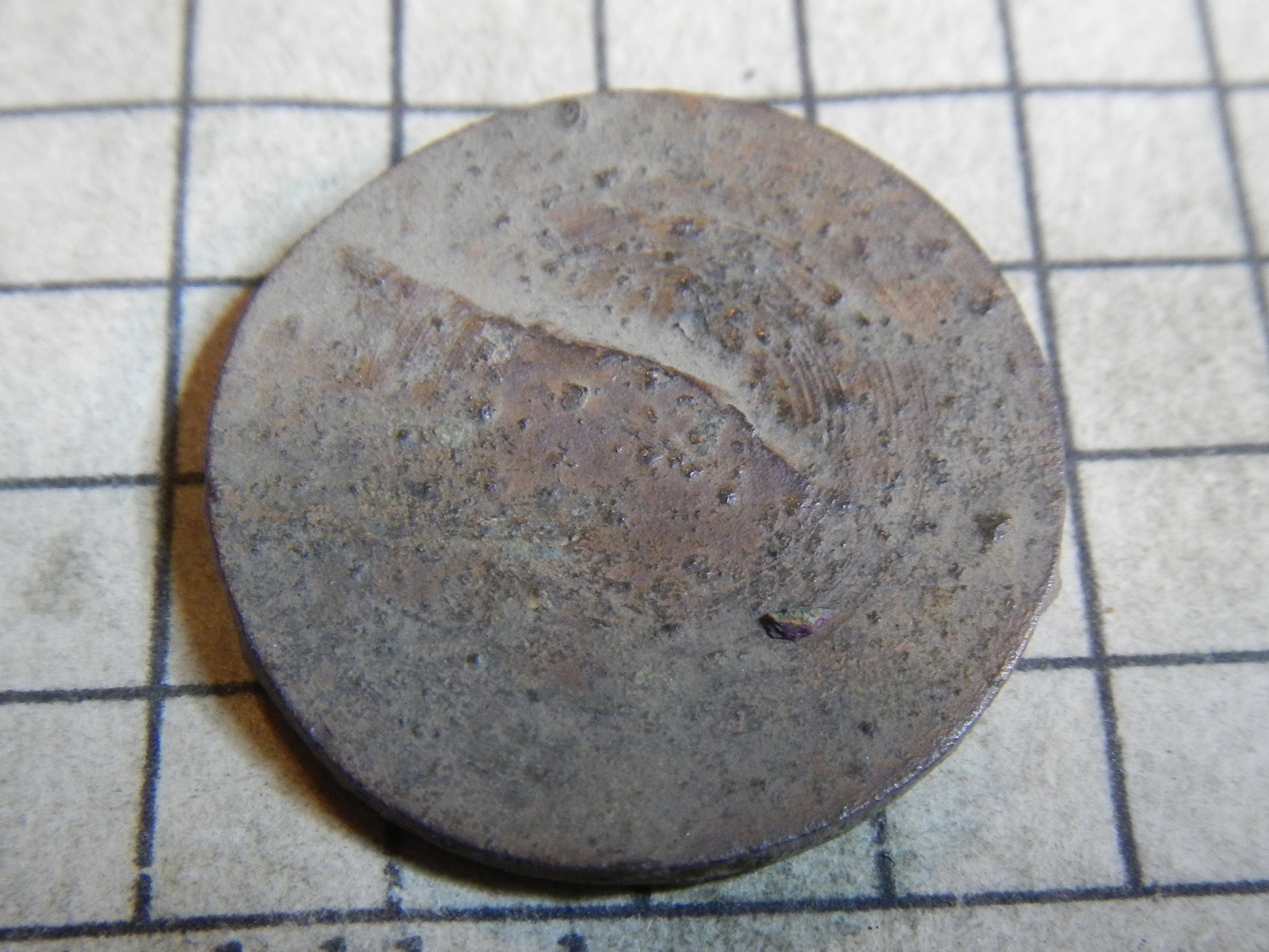 DSCN4503.webp