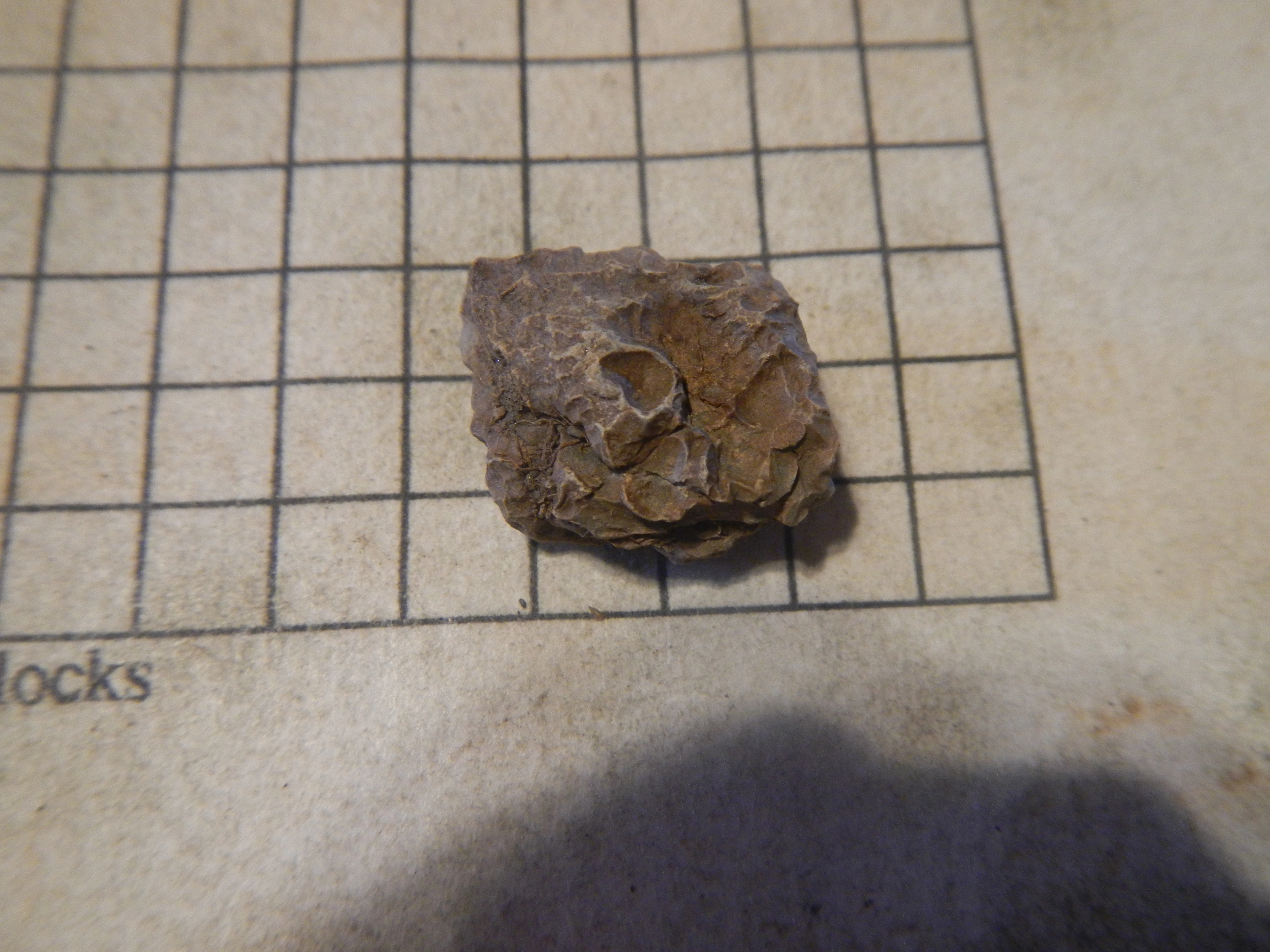 DSCN4659.webp