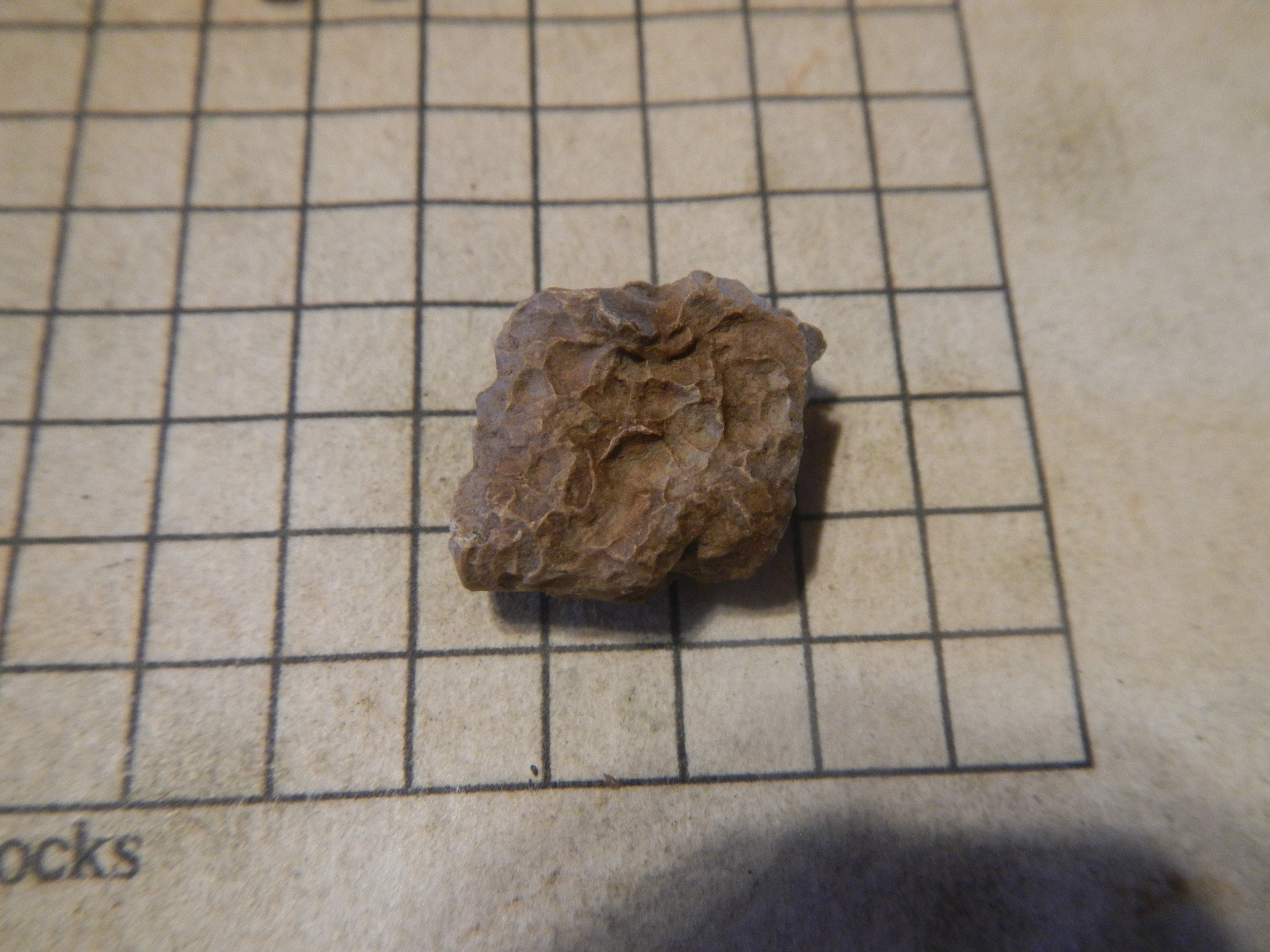 DSCN4660.webp