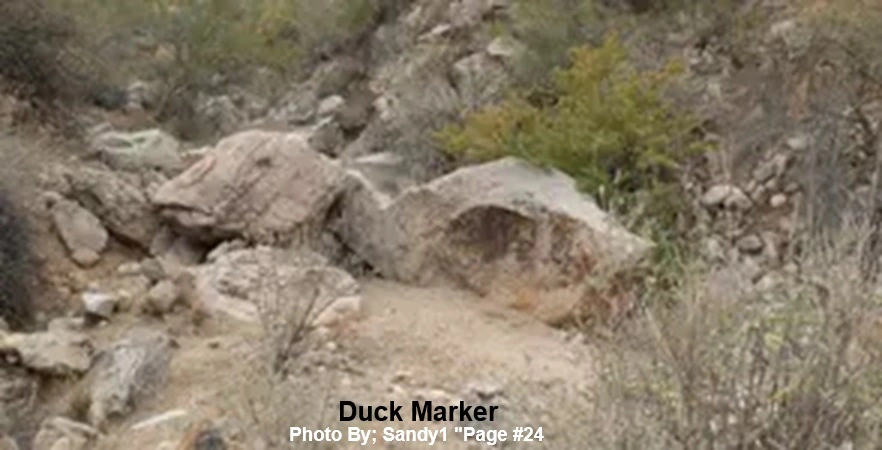 Duck Marker By Sandy1 001.webp