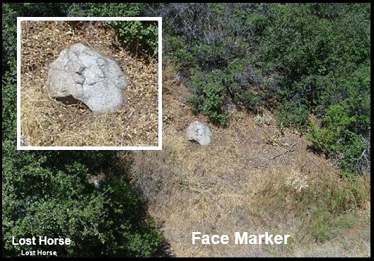 Face Marker 002.webp
