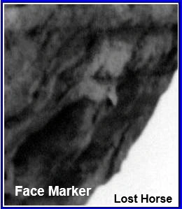 Face Marker 003.webp