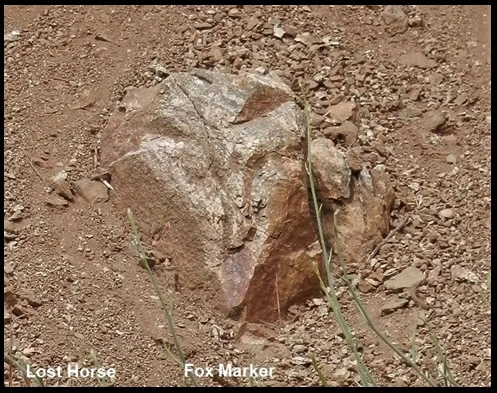 Fox Marker 001.webp