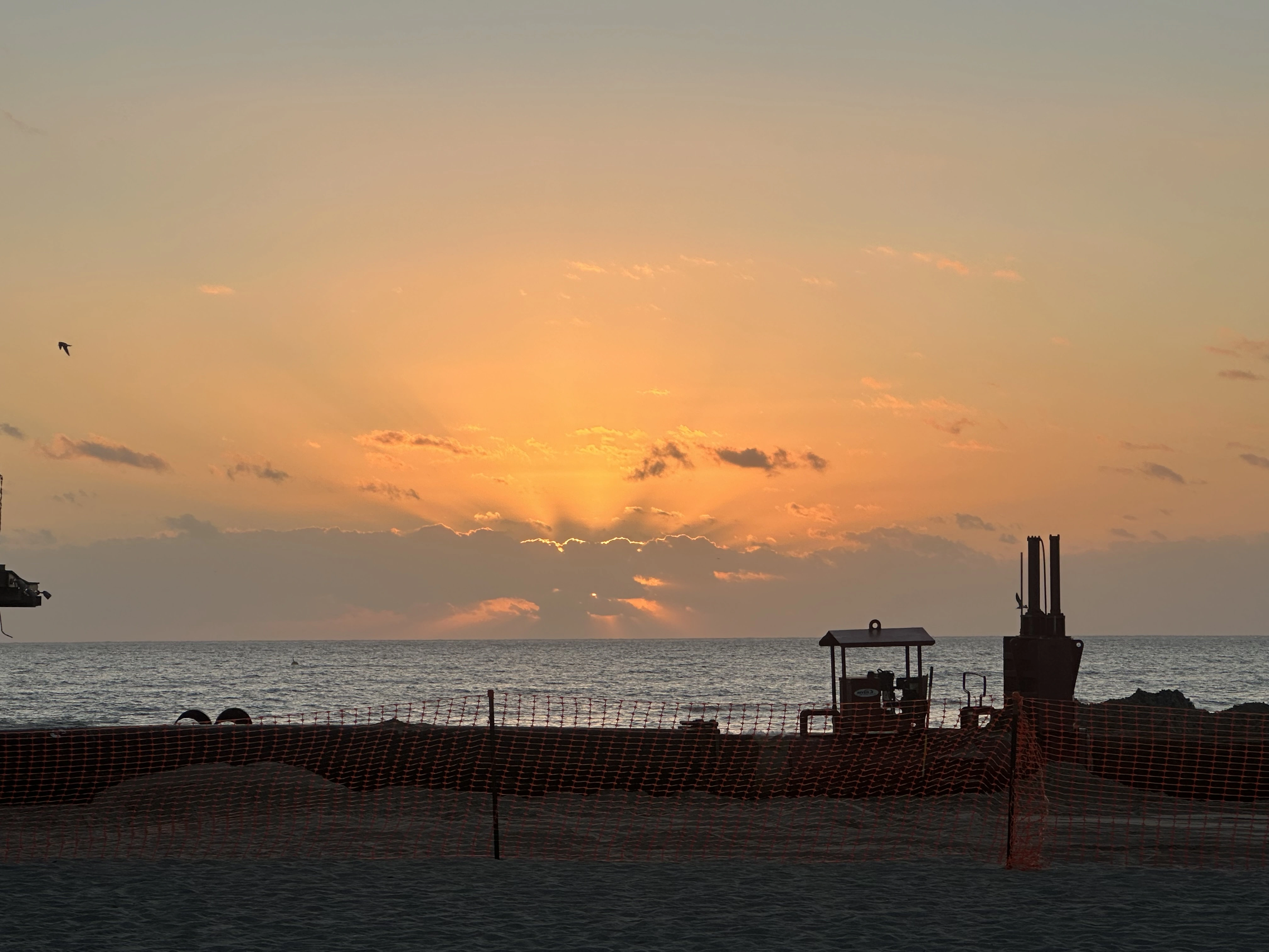 IMG_9621.webp
