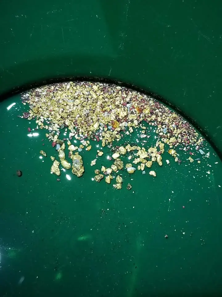 new gold in pan new.webp