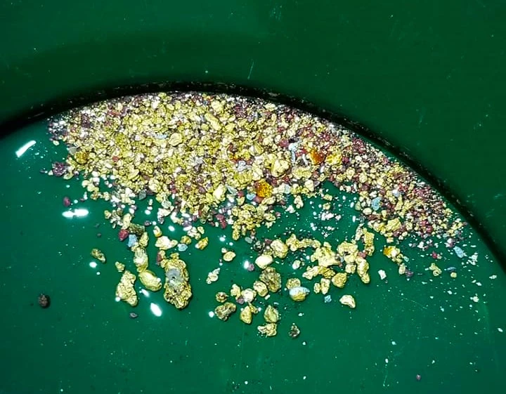 new gold.webp