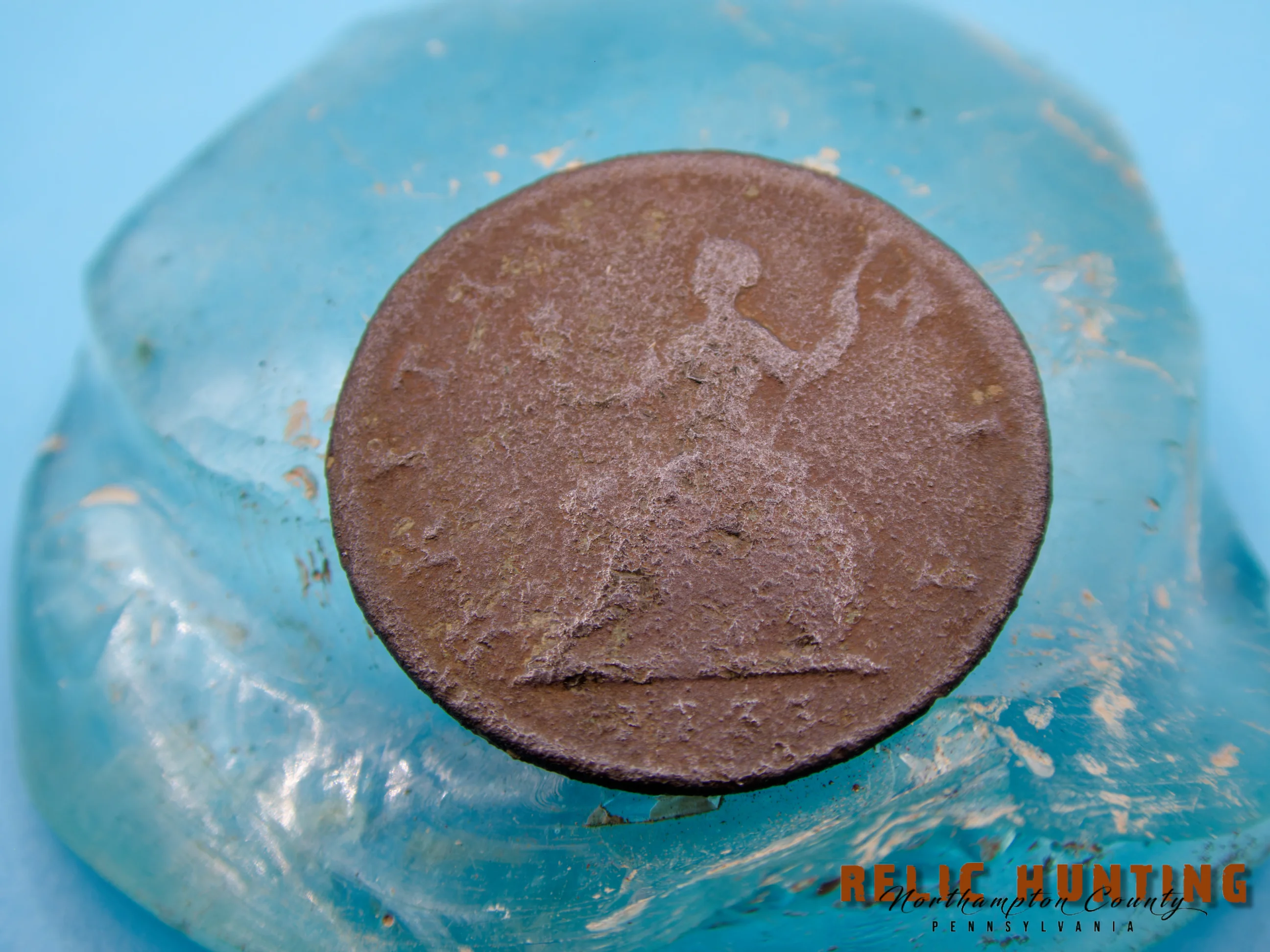 P1002428_WM.webp