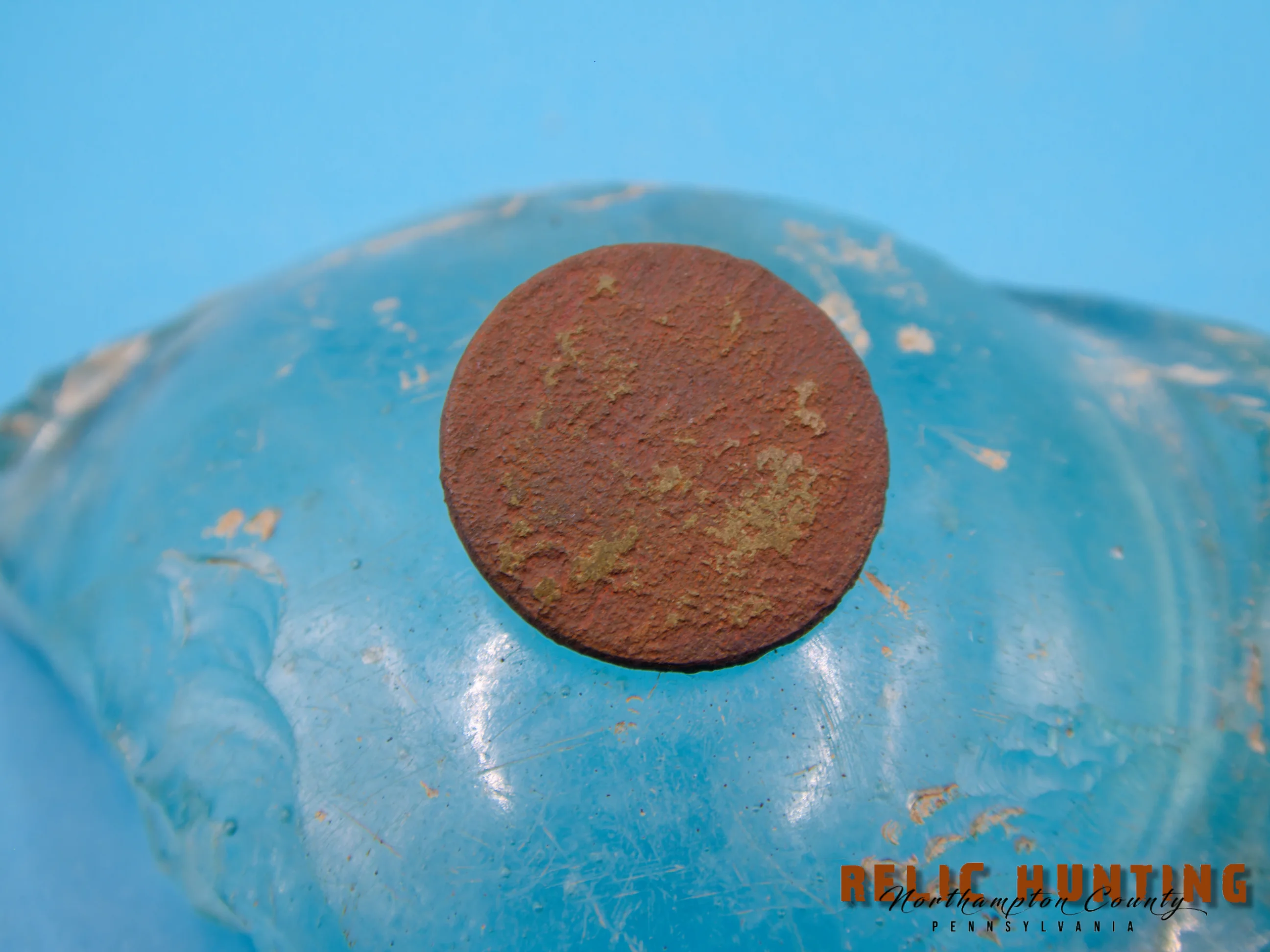 P1002521_WM.webp
