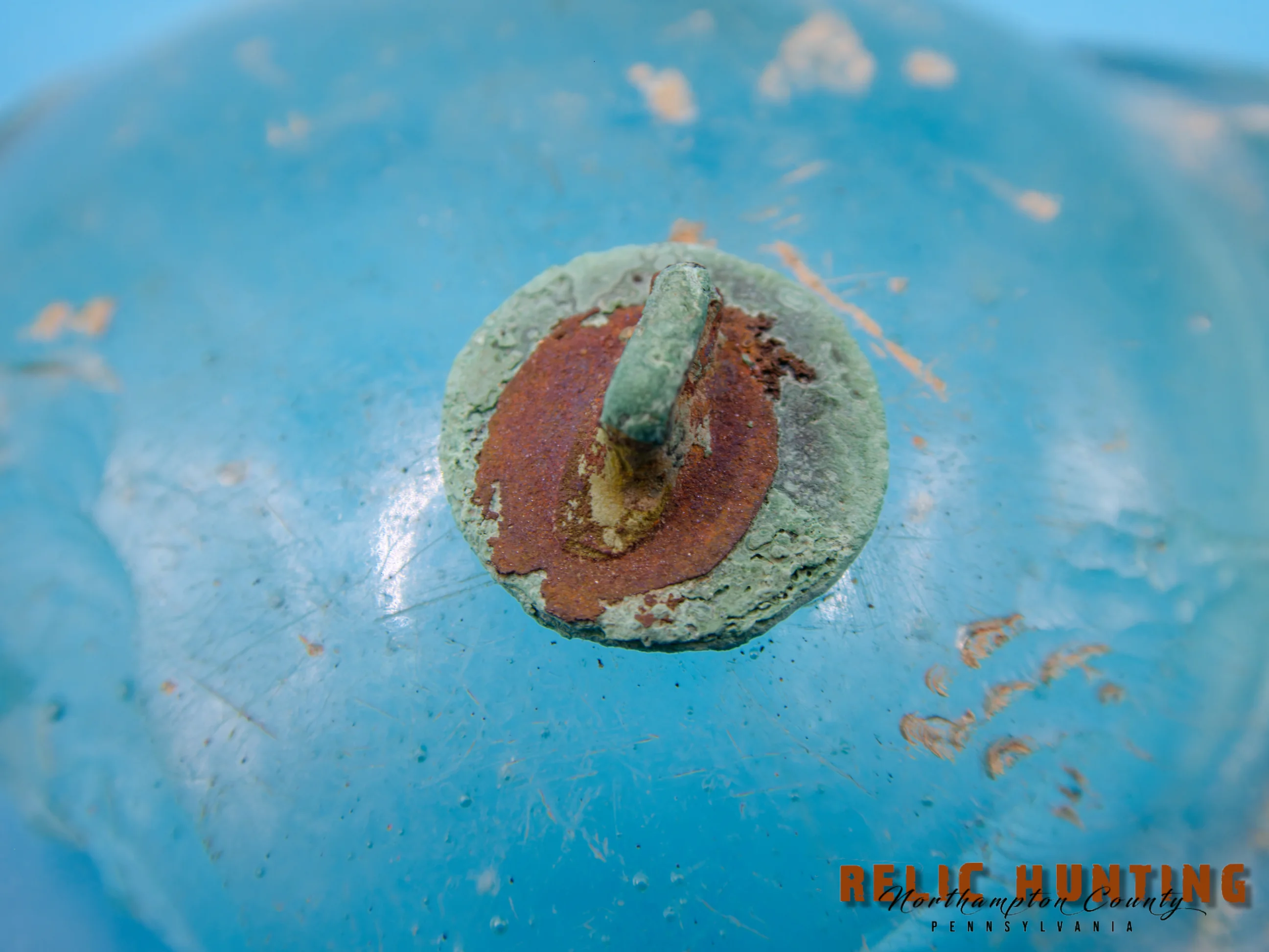 P1002524_WM.webp