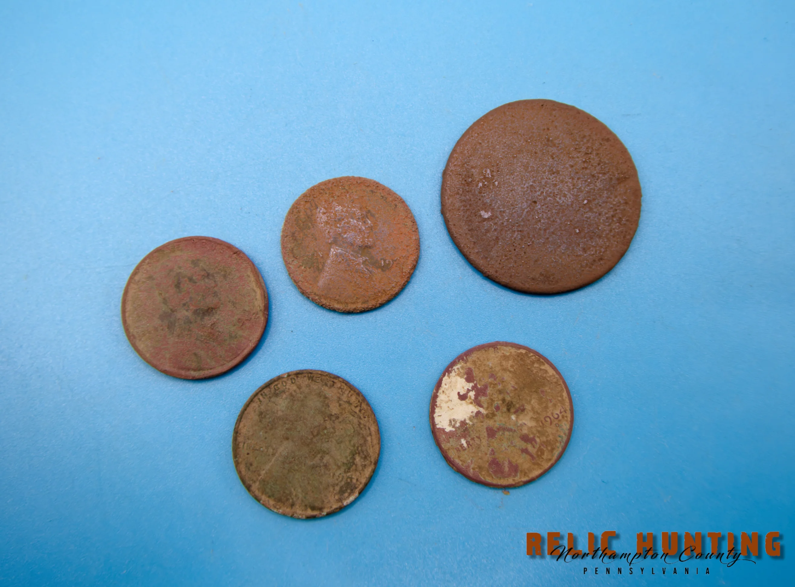 P1002535_WM.webp